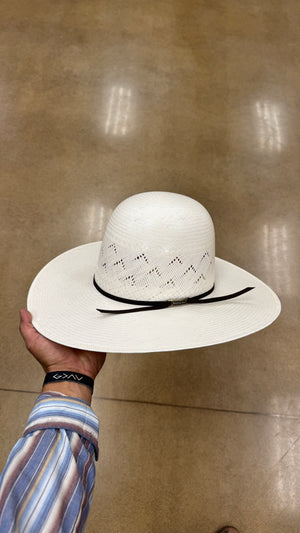 “Midnight Ivory”