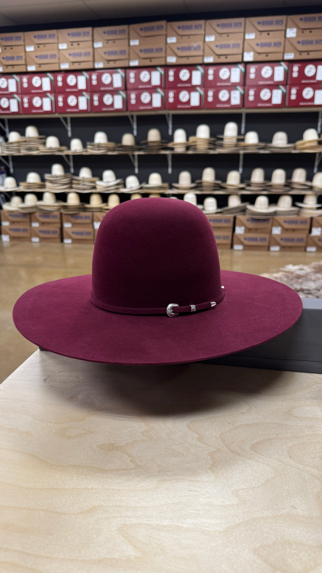 10x Tacchino Bordeaux (Burgundy) Regular Crown