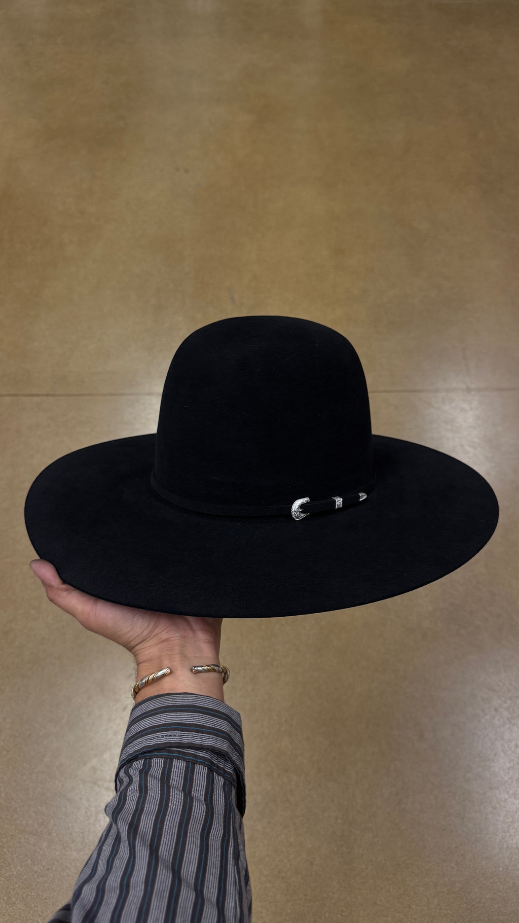 6x Tacchino Black Regular Crown