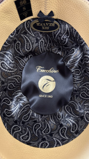 50x Tacchino Black Regular Crown