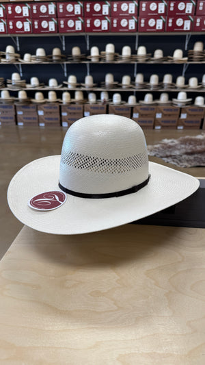 Tacchino “Ivory Range”
