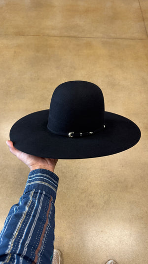 50x Tacchino Black Regular Crown