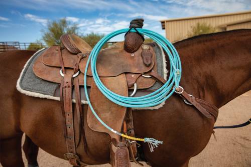 DELUXE 100% WOOL SADDLE PAD WITH FLEECE