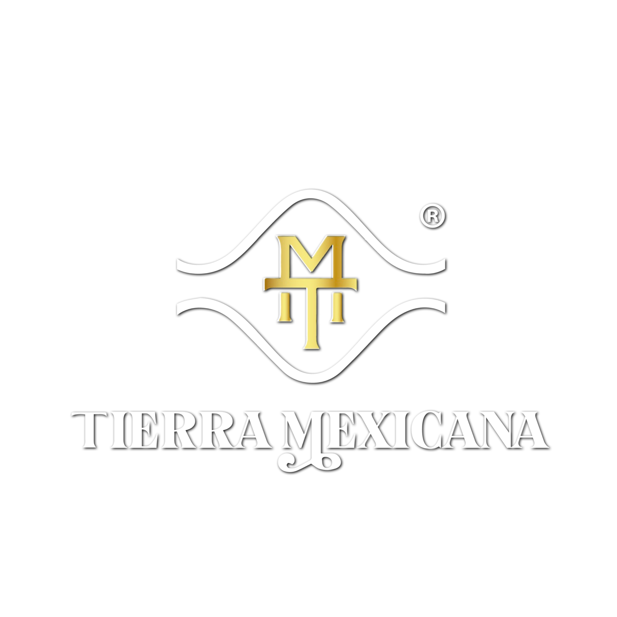 Montura Piteada Talabartería Tierra Mexicana®️